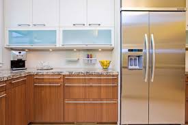 All you'll need to keep. Modern Kitchen Wth Contrasting Cabinetry And Frosted Glass Contemporary Kitchen San Francisco By Bill Fry Construction Wm H Fry Const Co Houzz