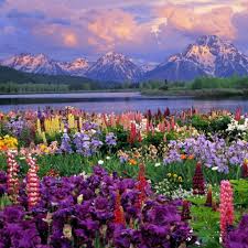 Della M. Myers Obituary July 15, 2020