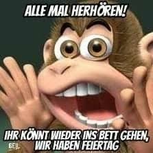 Pin Von Inge Nordlohne Auf Spruche Humor Lustige Bilder Gute Nacht Lustig Dienstag Bilder Lustig