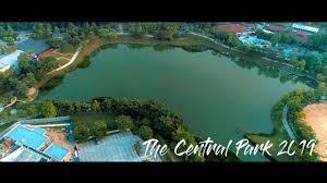 Those looking for a more. Best Dog Friendly Places In Kl Pj 2021 Top 15 Picks Pledgecare