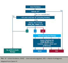 Image result for Anticoagulation
