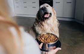Best Victor Dog Food Vs Diamond Naturals In 2021