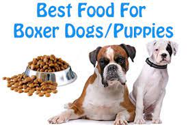 Boxers are friendly, goofy dogs that make excellent family pets. Dog Lovers Know The Best Dog Foods For Boxer Breed Dogs Puppies The Jerusalem Post