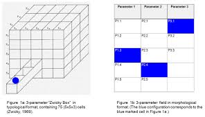 General Morphological Analysis