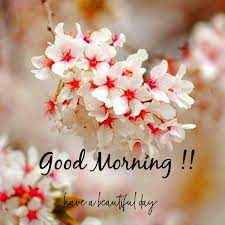 Share your beautiful smile with the world. á… Top 200 Good Morning Wishes Images Morning Pictures