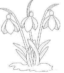 Aici găsiți ⭐ planșe și desene cu flori de primavara de colorat pentru copii. Desene Cu Flori De Primavara In Creion CÄƒutare Google Flower Drawing Flower Pattern Drawing Drawings