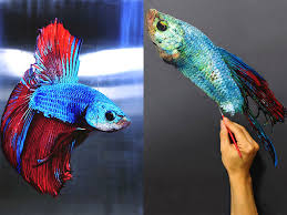 Sponge out of water (2015) cast and crew credits, including actors, actresses, directors, writers and more. Artist S Hyperrealistic Fish Paintings Look Too Real To Believe