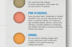 What The Color Of Your Pee Says About You Health