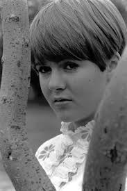 Steve Schindler RIP. Shown here at a class of 72 reunion . . L-R: Michael  Levine, Marjorie Windman Oxman, Steve Schindler, Leslie Fuhrer.