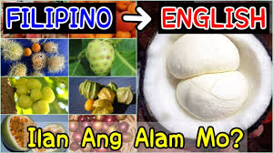 The season for singkamas or turnips is during summer, which is but a perfect timing for its thirst quenching quality during the summer heat. Filipino English Of Fruits And Vegetables Ilan Ang Alam Mo Youtube