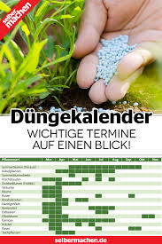 Mit Dungekalender Zum Ausdrucken So Dungst Du Deine Pflanzen Richtig Garten Pflanzen Pflanzen Indoor Wassergarten