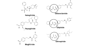 Image result for Meglitinide