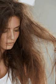 Hot oil is one of the best home remedies for dry hair. 7 Stupid Easy Ways To Combat Dry Hair In Winter 2021