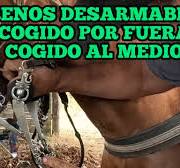 FRENOS O EMBOCADURAS DESARMABLES PARA CABALLOS cogido por fuera y cogido al  medio