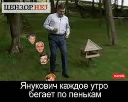 Зеленский наступает на «пеньки януковича». Yanukovich I Penki Video Fotozhaby O Mezhigorskoj Zhizni Prezidenta Novosti Mobilnaya Versiya Cenzor Net