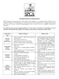 Puppy fear periods ian dunbar. Developmental Stages Of Puppy Behavior Dogs Socialization