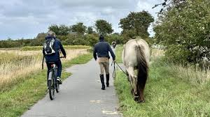 föhr