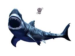 Scary Great White Shark Png Transparent Background Free Download 42754 Freeiconspng Sharks are a group of elasmobranch fish characterized by a cartilaginous skeleton, five to seven gill slits on the sides of the many shark populations are threatened by human activities. scary great white shark png transparent