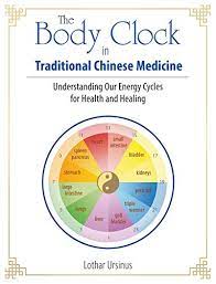 The cyclical flow of qi in the meridians within a 24 hour day. The Body Clock In Traditional Chinese Medicine Understanding Our Energy Cycles For Health And Healing English Edition Ebook Ursinus Lothar Amazon De Kindle Shop