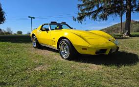 Image result for Canary Yellow 1977 Hussmann