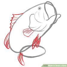 Largemouth bass icon a simple, 3 color largemouth bass graphic. largemouth bass stock illustrations. Drawing Skill Largemouth Bass Fish Drawing