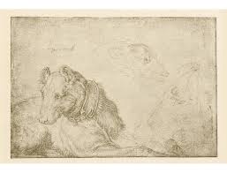 The life and art of albrecht durer. Design Is Fine History Is Mine Albrecht Durer Dog Drawings 1520 21 Silverpoint