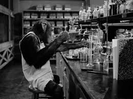 Image result for monkey business 1952 chimpanzee