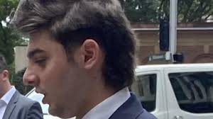 Matthew Valerio pleads guilty to severely injuring parking ranger in Enmore  crash