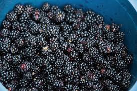 Image result for Rubus adolfi-friederici