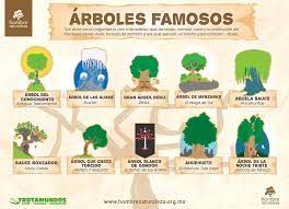 Como Un Homenaje A Estos Seres Vivos Realizamos Esta Infografia Denominada Arboles Famosos Nuestra Labor Es Difundir Community Manager Infographic Community