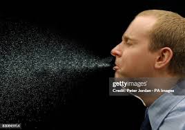 864 Peter Hay Stock Photos, High-Res Pictures, and Images