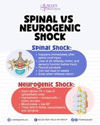 Image result for Spinal Shock