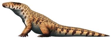 How Fast Can A Crocodile Run On Land? Do They Hunt People If They Need To?  - Quora