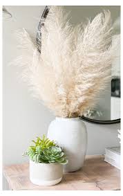 Pampas Grass White Vase How To Dry Pampas Grass For Decorating Grass Decor Pampas Grass Decor Home Decor Bedroom