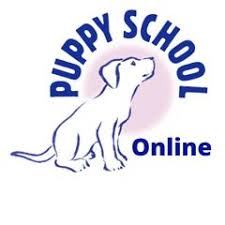 After you write us, you will receive an immediate reply, with further information on the class and puppy training in general. Puppy School Puppy Training Classes Network Of Uk Schools