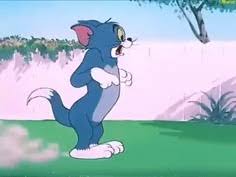 Tom and jerry: 29 TOM & JERRY GIFS ideas to save today