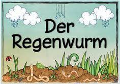 Ideenreise Themenplakat Der Regenwurm Regenwurm Ideenreise Haus Der Kleinen Forscher