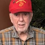 Arneson Family Obituaries