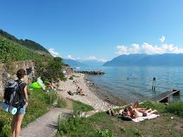 Villas avec piscine, châteaux avec dépendances ou maisons avec accès privatif sur le lac, voila ce que propose propriétés le figaro parmi 25 000 annonces immobiliers de luxe. Les Plus Belles Plages Du Lac Leman Heconomist