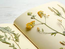 Check spelling or type a new query. How To Dry Flowers 3 Easy Methods And Care Tips
