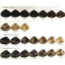 Alfaparf Evolution Of Color Permanent Hair Color