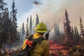 The Office of Wildland Fire Quarterly Bulletin