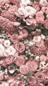 Iphone Wallpaper 4k Nature Flowers Pink 4kiphone Wallpapers Naturephotograph Click Here To Downloa Spring Wallpaper Spring Wallpaper Hd Flower Wallpaper