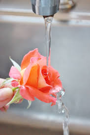 It seems simple enough that i can make it in an hour or two but my biggest question is.are fresh flowers safe on a cake? Decorating A Cake With Fresh Flowers Baking With Gab