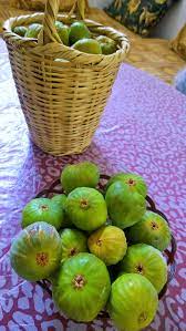 File:Karmous(fruit).jpg - Wikimedia Commons