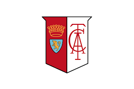 Image result for tbn:-PhpzClRMtqLvM::upload.wikimedia.org/wikipedia/en/thumb/2/2e/Torino_FC_Logo.svg/496px-Torino_FC_Logo.svg.png