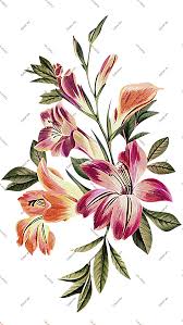 Common daisy flower white graphy, daisy, white, chamomile, desktop wallpaper png | klipartz. Flower Png Beautiful Flowers Degital Flowers Banch Free Png Beautiful Flowers Flowers