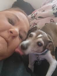 Accepting help with losing a best friend's soul dog