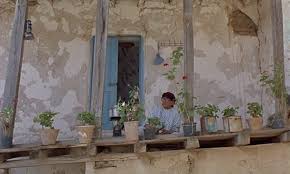 We did not find results for: Abbas Kiarostami Zire Darakhatan Zeyton Aka Through The Olive Trees Extras 1994 Cinema Of The World Film Stills Olive Tree Cinema