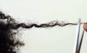 Cutting away damage will help add bounce and make your curls pop. 9 Tips For Preventing Split Ends Naturallycurly Com